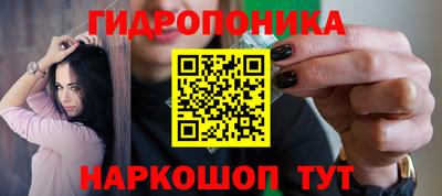 гидра Заволжье