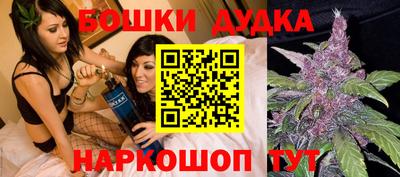 гидра Заволжье